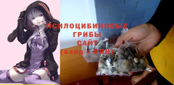 прущие крисы Карпинск