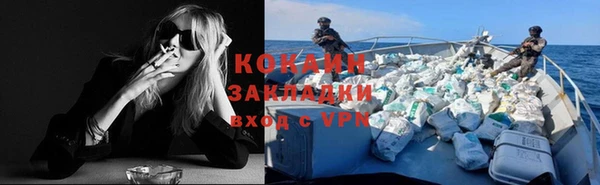 ПСИЛОЦИБИНОВЫЕ ГРИБЫ Карталы