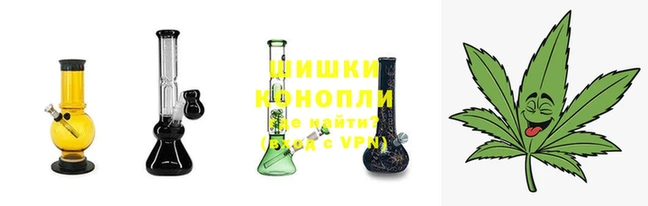 ПСИЛОЦИБИНОВЫЕ ГРИБЫ Карталы