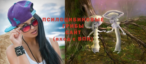 прущие крисы Карпинск