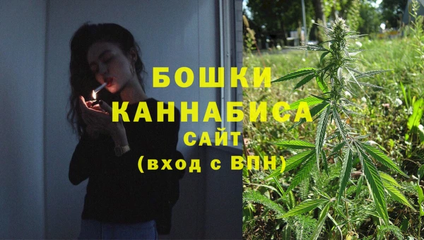 прущие крисы Карпинск
