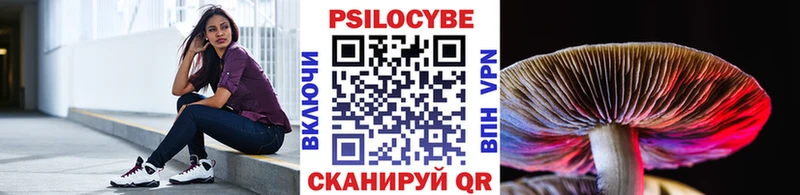 Купить где  Волчанск  Галлюциногенные грибы Psilocybe 
